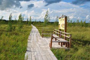 заповедник Ельня - туры по Беларуси